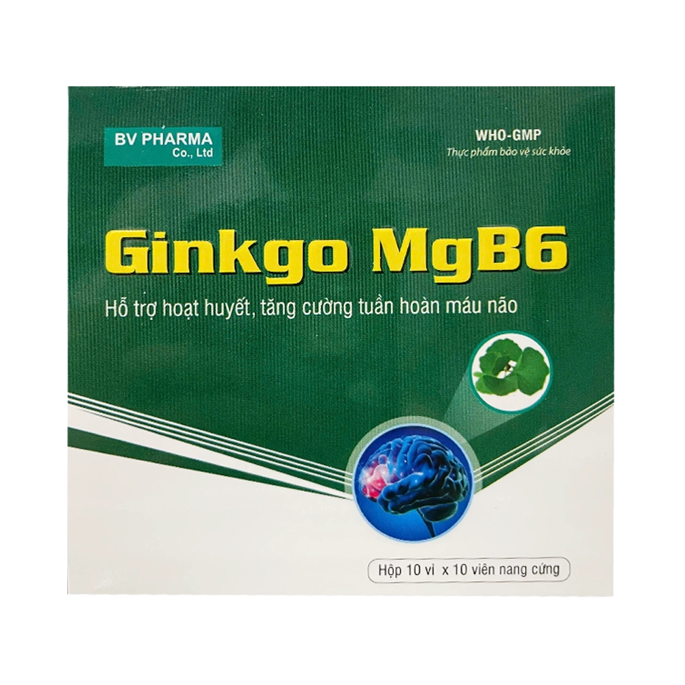 Ginkgo MgB6 BV Pharma 10 vỉ x 10 viên